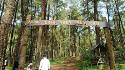 Pintu masuk Hutan Pinus Loji.