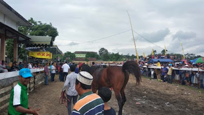 Pacuan kuda di Wonodadi Blitar. (Foto: google maps)