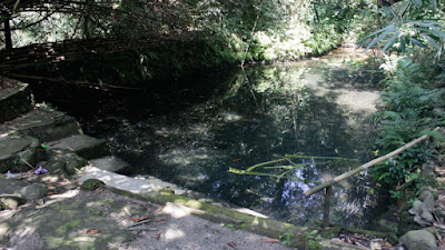 Kolam yang ada di kawasan Ponpes Nurul Huda Kuningan. (foto: Bicara Blitar