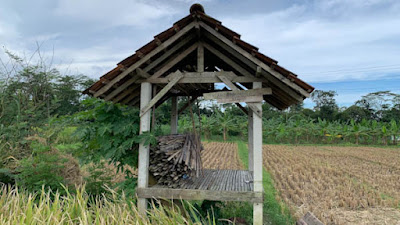 Salah satu gubug di salah satu sawah di Blitar.