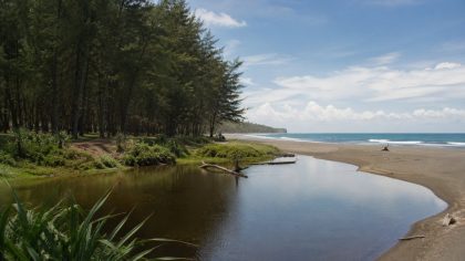 Pantai Pangi Blitar, suasana alami dengan hutan pinus dan telaga payau