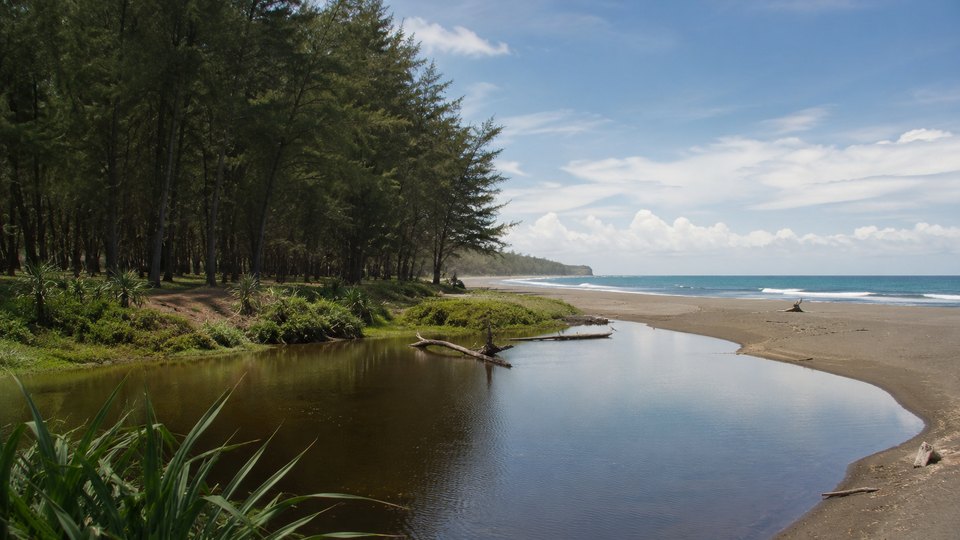 Pantai Pangi Blitar, suasana alami dengan hutan pinus dan telaga payau