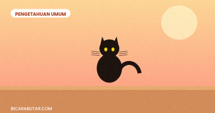 Hari Kucing Sedunia 8 Agustus, Ini Sejarah dan Maknanya